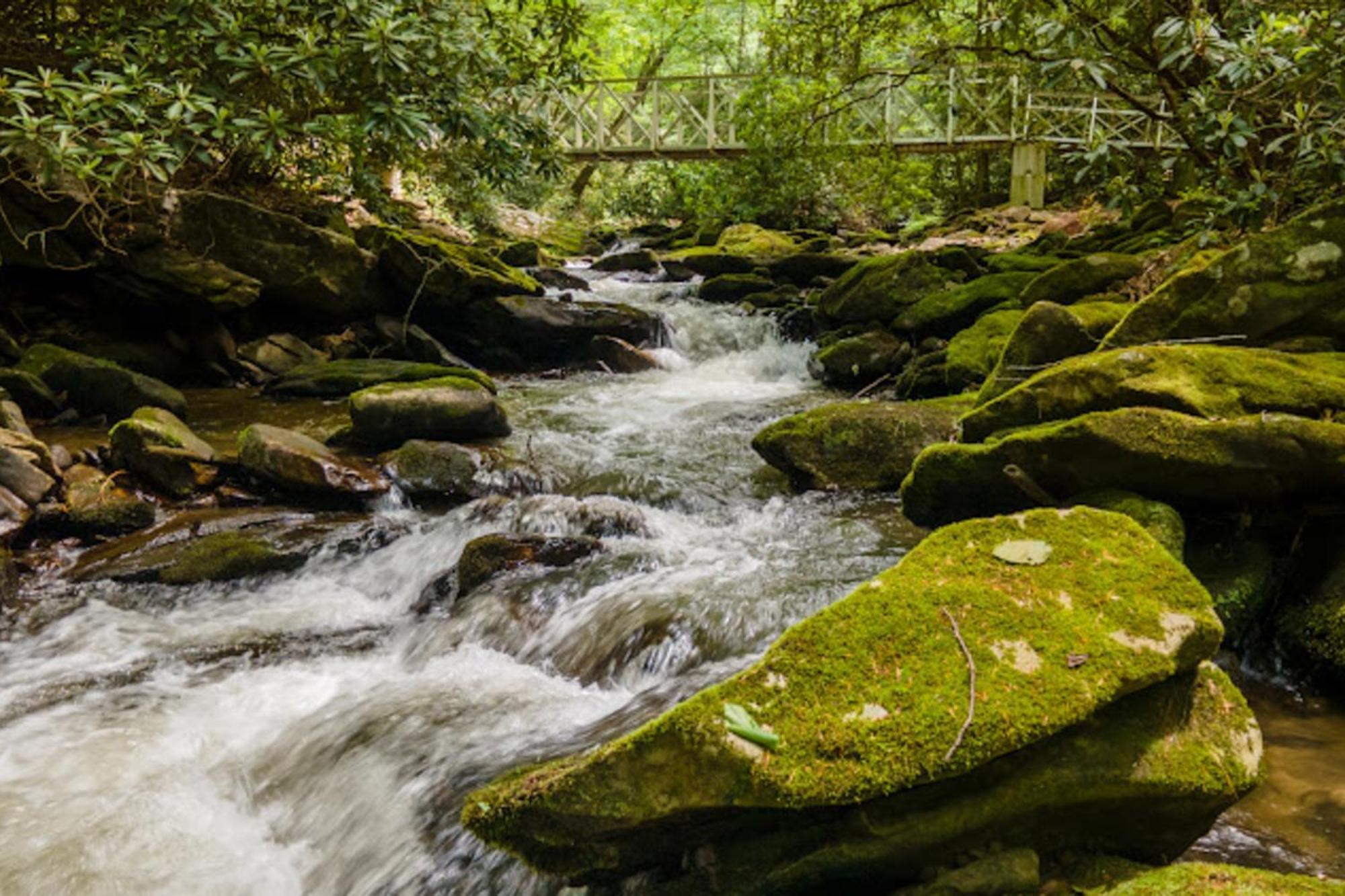Creel Lodge At Middle Creek Otto Екстер'єр фото